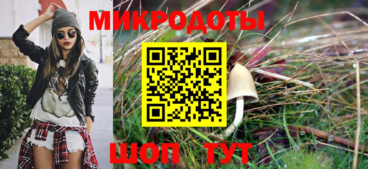 Галлюциногенные грибы прущие грибы  Вход с VPN  Чистополь 